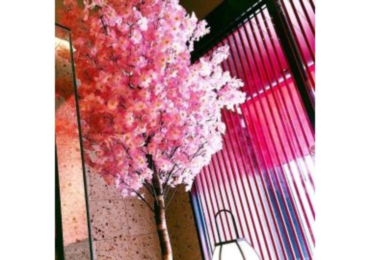 Sakura Sky Hotel - Vacation Stay 18444V Tokyo Esterno foto